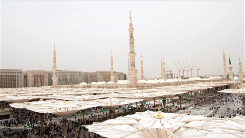 المدينة المنورة،