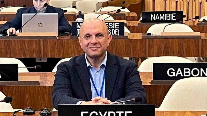 جامعة الإسكندرية