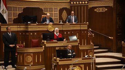 رئيس التعاونيات يستعرض طلبات الاتحاد بمجلس الشيوخ