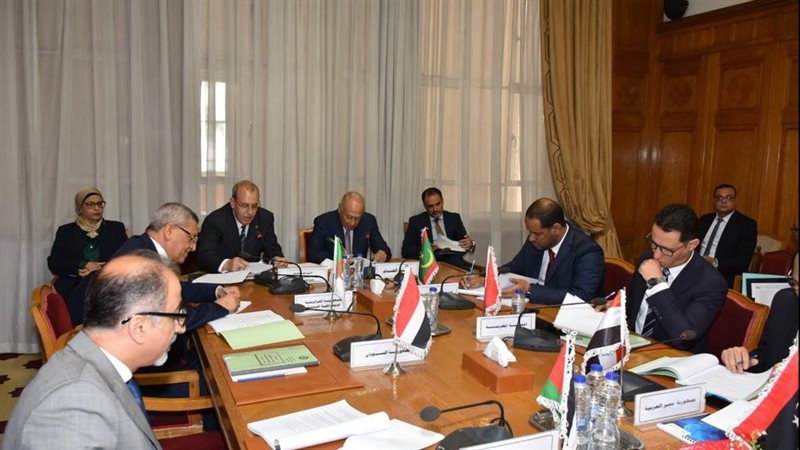 أبو الغيط يترأس مجلس