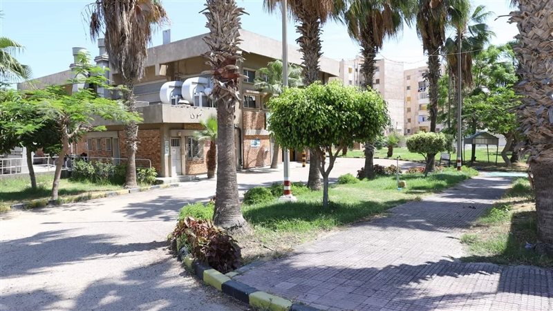 الصرف الصحى بالإسكندرية،فيتو