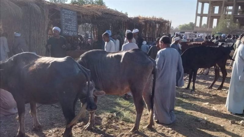 متابعة الأسواق، فيتو