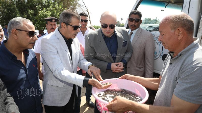 محافظ بني سويف, فيتو