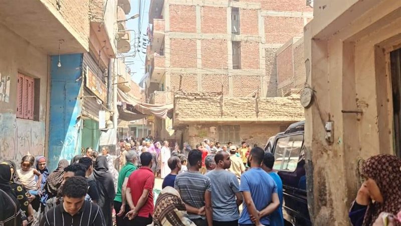 شبين القناطر، فيتو
