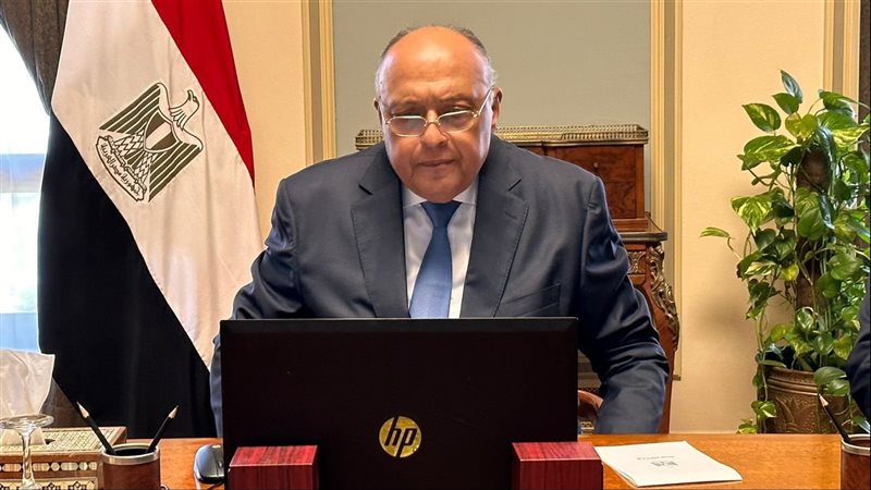 سامح شكرى،فيتو 