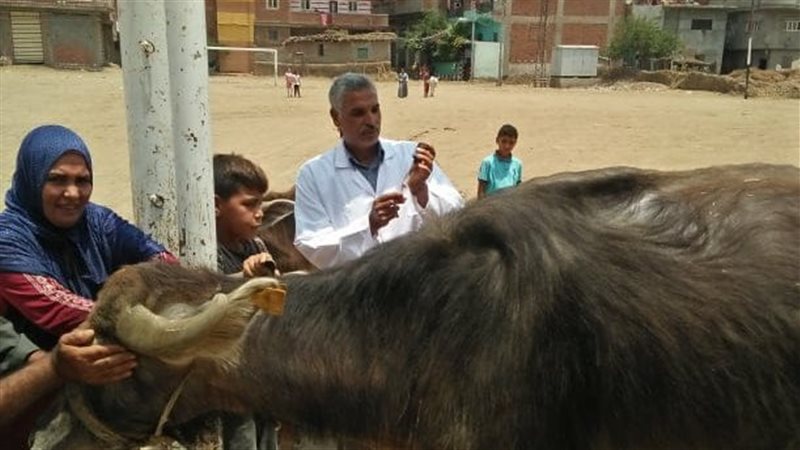 جامعة الزقازيق:قافلة