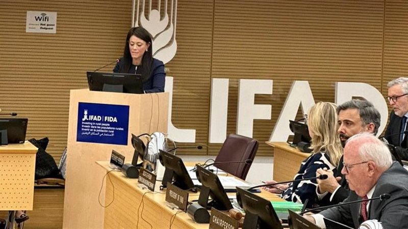 الدكتورة رانيا المشاط