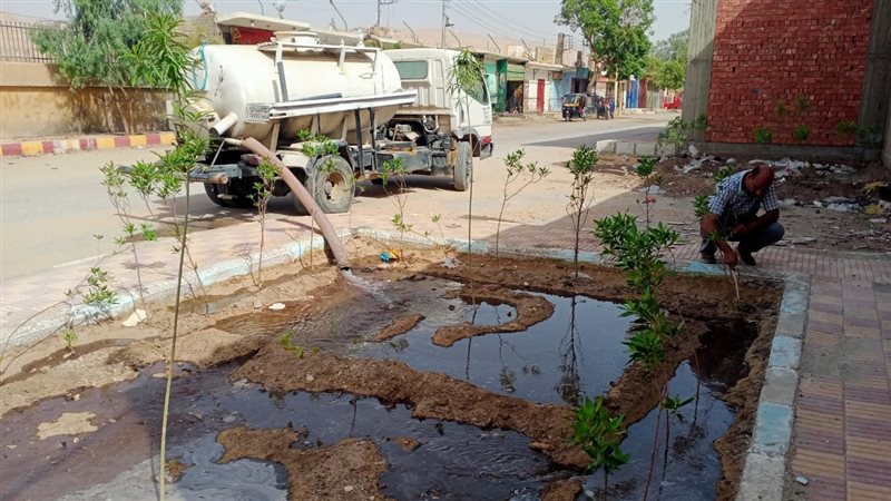 مشروع زراعة 100مليون