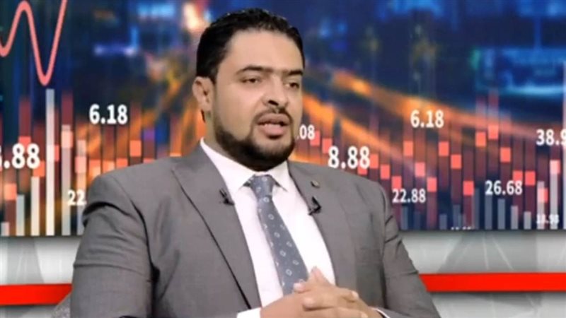 محمود شكرى خبير أسواق