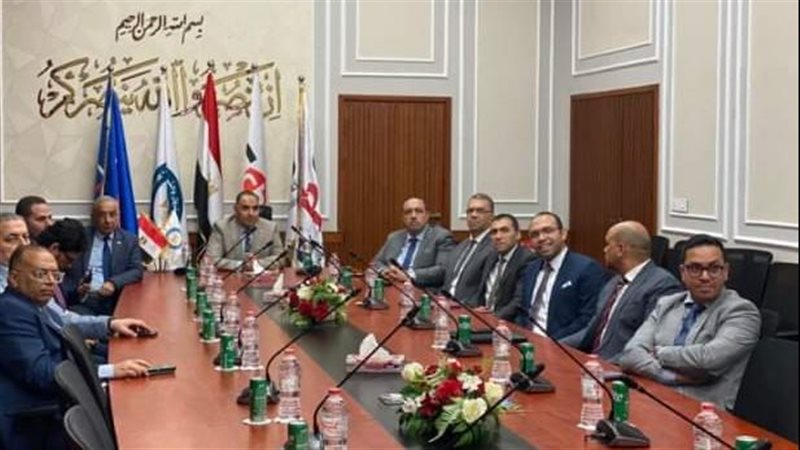 البتروكيماويات المصرية