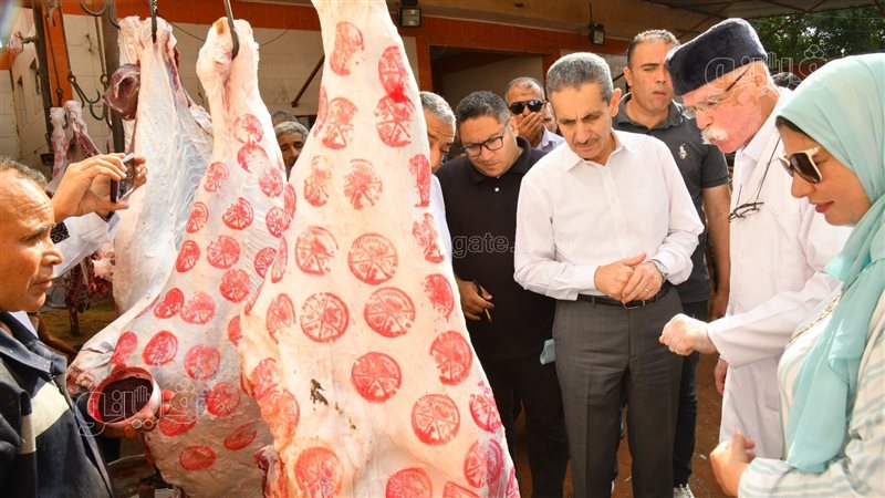 محافظ الغربية يتفقد