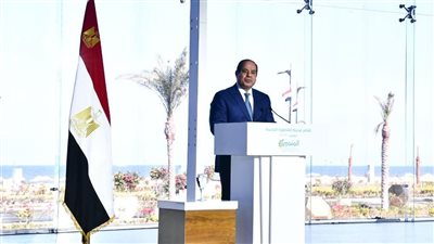 ثورة 30 يونيو، السيسي يقود إنجازات صندوقي تحيا مصر ومصر السيادي