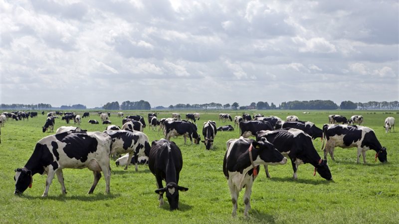 ما حكم الزكاة في