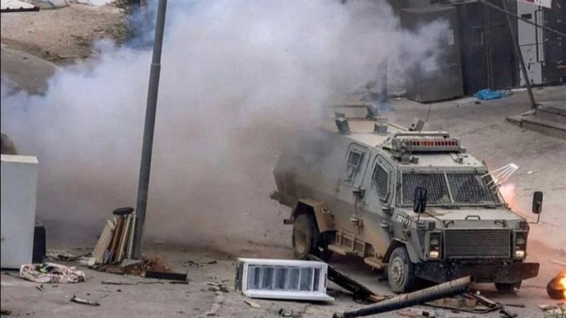 عدوان على جنين، فيتو