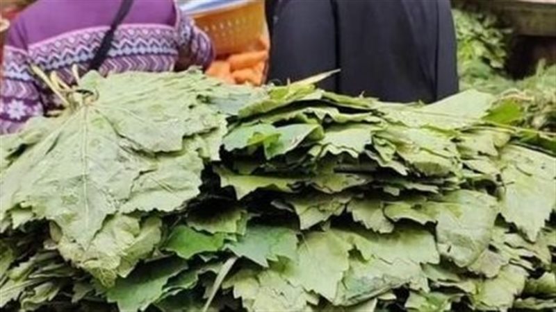  أسعار الخضراوات،