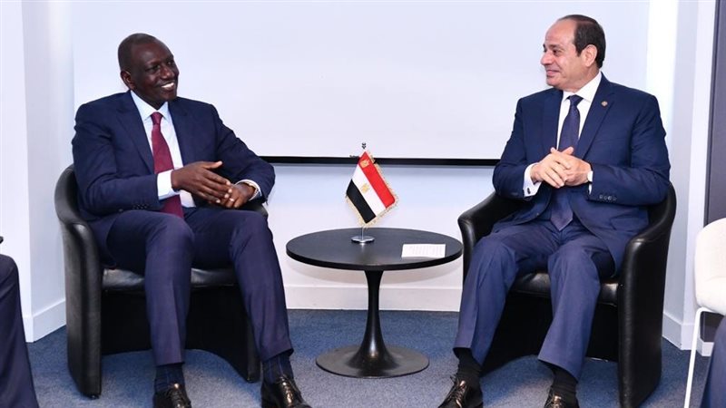 الرئيس عبد الفتاح