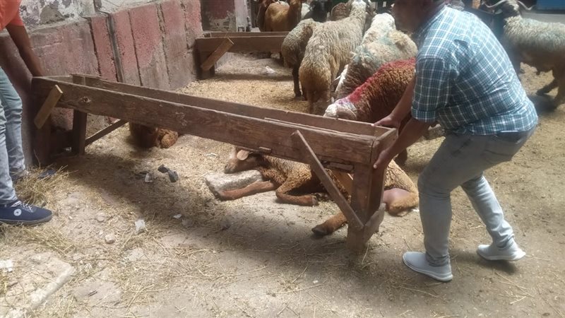 حملات المكبرة لمنع