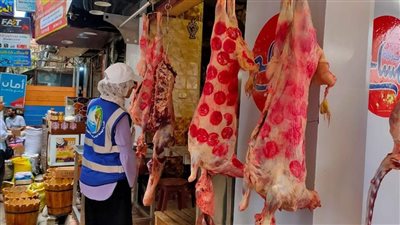 حملات توعية للصرف الصحي بالإسكندرية استعدادا لعيد الأضحى المبارك 