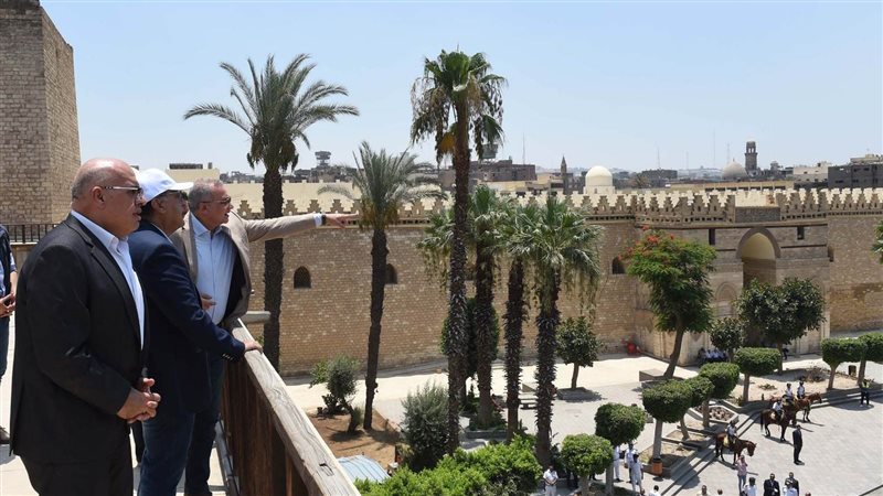 رئيس الوزراء، فيتو