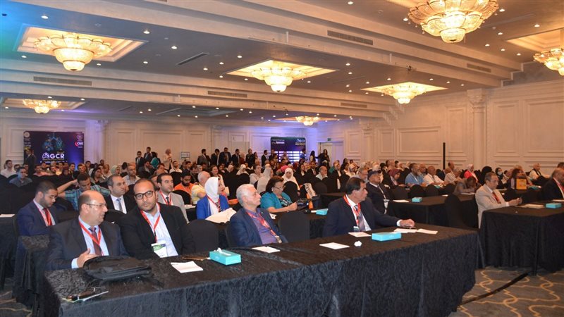 جامعة الإسكندرية،