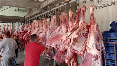 التموين: زيادة ضخ اللحوم بالمجمعات الاستهلاكية استعدادا للعيد، 195 جنيها سعر الكيلو، المجمد بـ160، وخفض الأسعار بالسوق المحلي 30%