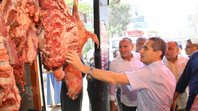 محافظ الغربية يتفقد