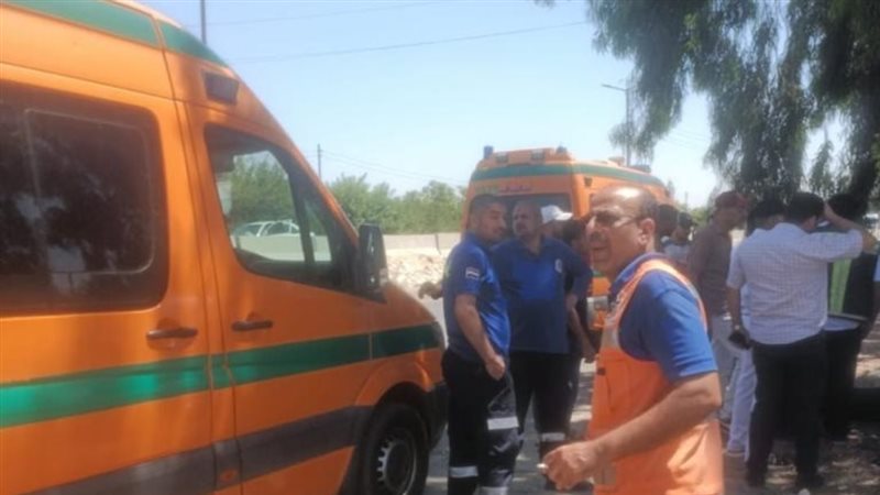 إسعاف، فيتو