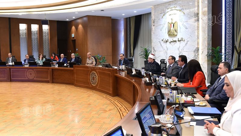 مجلس الوزراء، فيتو