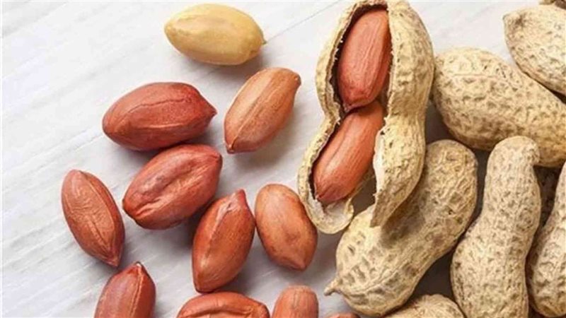فوائد الفول السوداني،