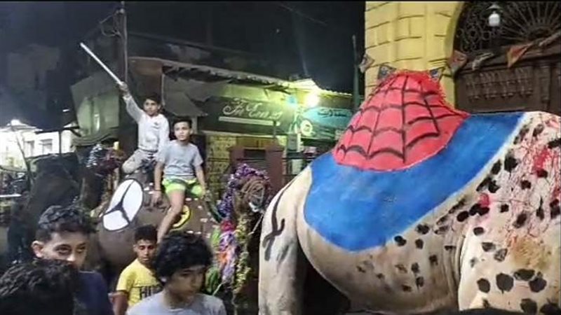 زفة بالجمال بالخانكة،