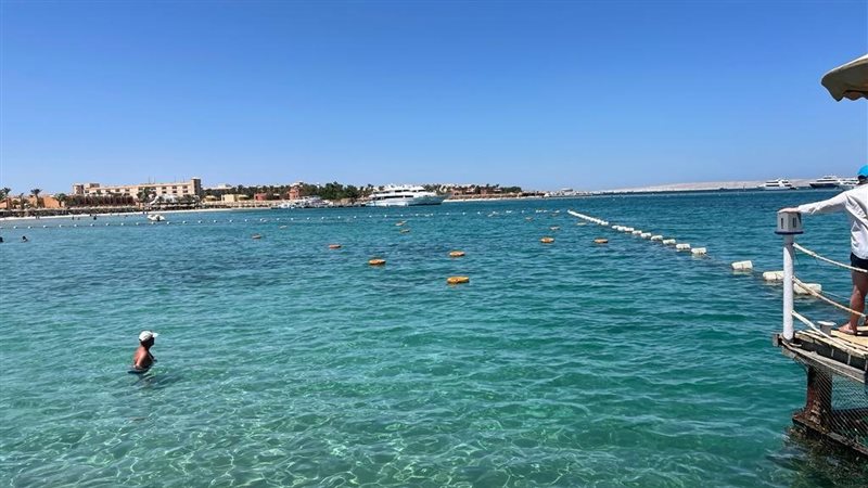 سواحل البحر الأحمر،