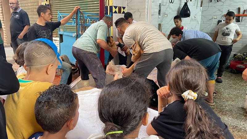 مظاهر ذبح الأضاحي،فيتو