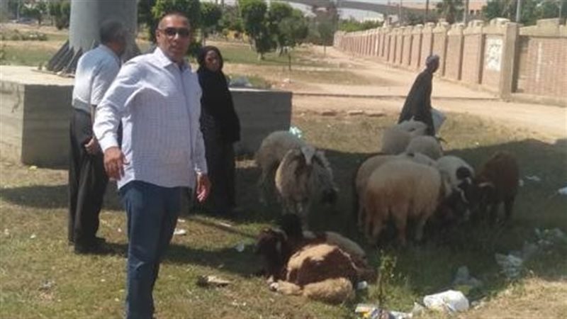 شوادر الأضاحي، فيتو