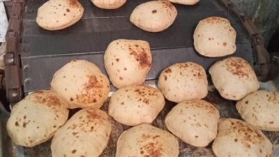 تحرير 164 محضرا تموينيا بالمنوفية