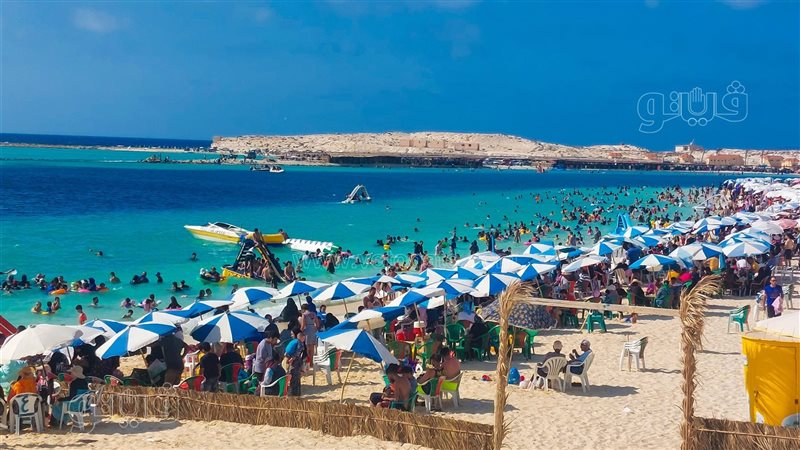 حالة الطقس غدا، فيتو