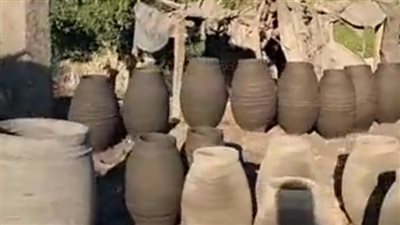 أخبار الفيوم.. النزلة قرية المتناقضات.. وضبط لحمة رأس غير صالحة