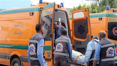 مصدر أمني ينفي هروب سائق سيارة دهس أما وابنها في المرج