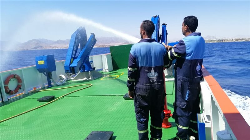 المراجعة الدورية