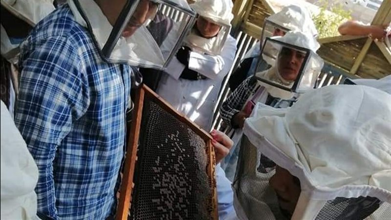 جانب من التدريب 