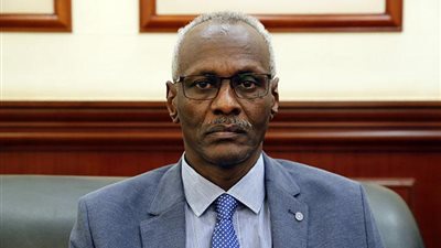 الري السودانية: منسوب النيل عند الحدود الإثيوبية أقل من معدل الفيضان