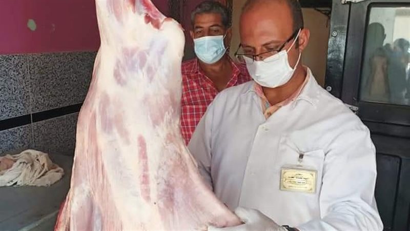 حملات تموينية بالدقهلية
