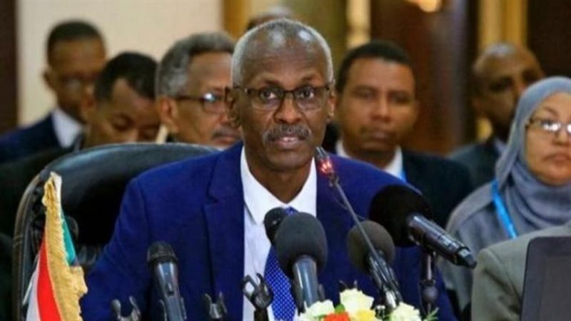 وزير الري السوداني