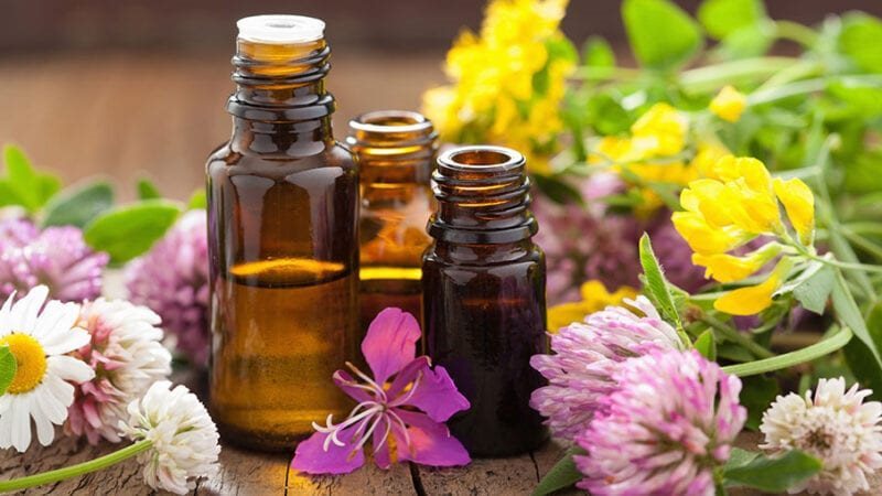النباتات الطبية والعطرية