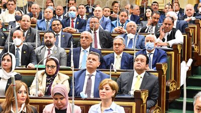 الحبس سنتين.. عقوبة الاعتداء على سلامة النظم المعلوماتية في القانون 