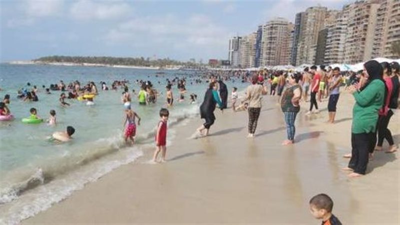 الاسكندريه