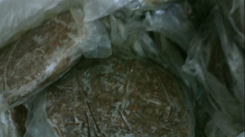 ضبط ربع طن أسماك