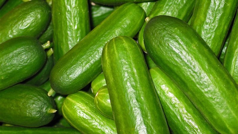 تفسير رؤية الخيار