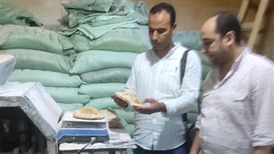 حملات تموينية مكثفة بالبحيرة في ثالث أيام عيد الأضحى المبارك (صور)