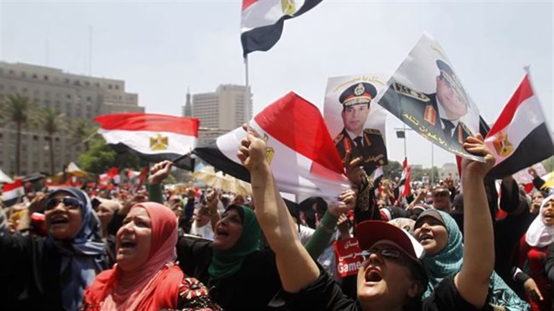 ثورة 30 يونيو، فيتو