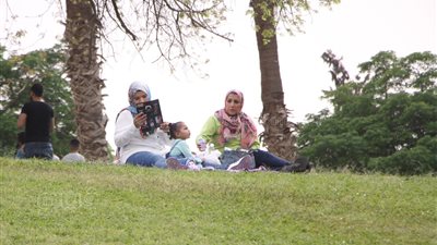 تفسير حلم الحديقة في المنام وعلاقته بالأزمات المالية وكثرة الديون 